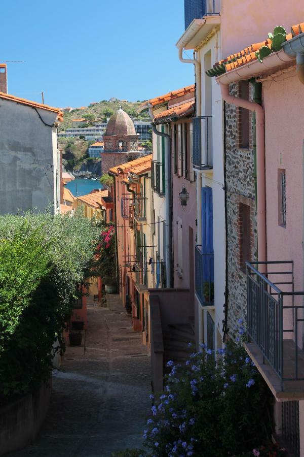 Maison Au Pied De La Cathedrale Elne